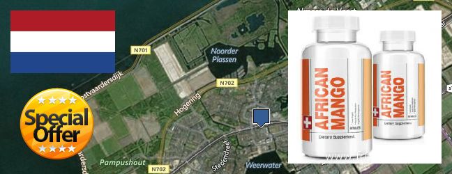 Waar te koop African Mango Extract Pills online Almere Stad, Netherlands