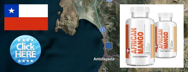 Dónde comprar African Mango Extract Pills en linea Antofagasta, Chile