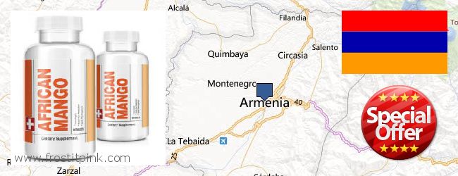 Buy African Mango Extract Pills online Armenia