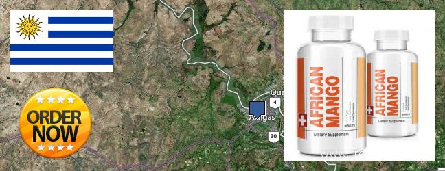 Where Can I Purchase African Mango Extract Pills online Artigas, Uruguay