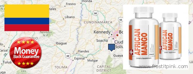 Dónde comprar African Mango Extract Pills en linea Bogota, Colombia