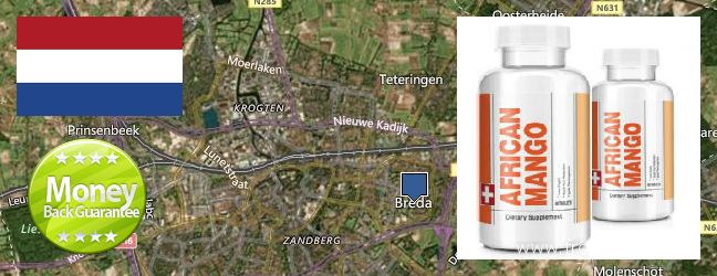 Where to Buy African Mango Extract Pills online Breda, Netherlands