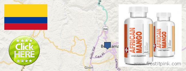Purchase African Mango Extract Pills online Bucaramanga, Colombia