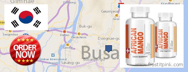 Purchase African Mango Extract Pills online Busan, South Korea