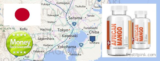 Purchase African Mango Extract Pills online Chiba, Japan Where to Purchase African Mango Extract Pills online Chiba, Japan