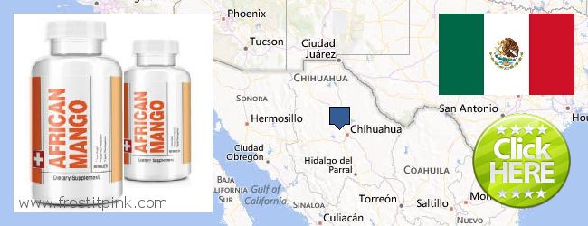 Dónde comprar African Mango Extract Pills en linea Chihuahua, Mexico