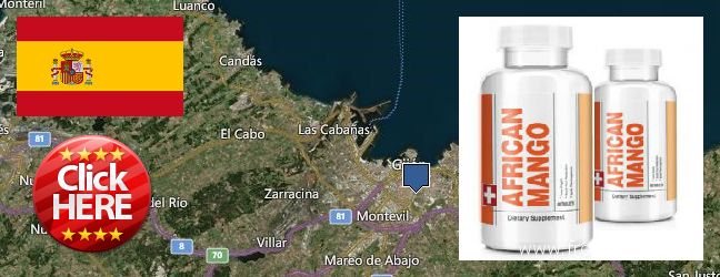 Dónde comprar African Mango Extract Pills en linea Gijon, Spain