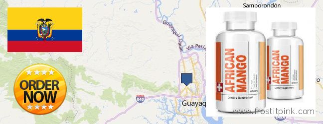 Dónde comprar African Mango Extract Pills en linea Guayaquil, Ecuador