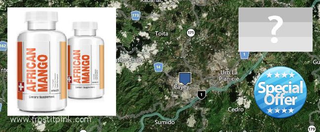 Where to Buy African Mango Extract Pills online Guaynabo, Puerto Rico