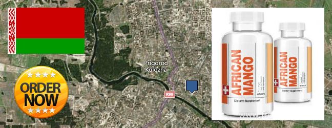 Gdzie kupić African Mango Extract Pills w Internecie Hrodna, Belarus