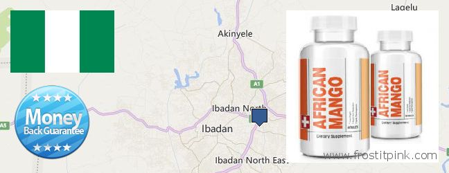 Buy African Mango Extract Pills online Ibadan, Nigeria