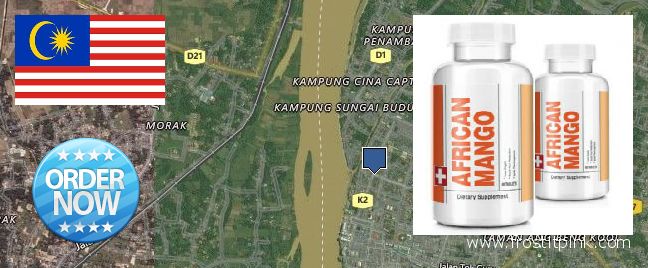 Where to Buy African Mango Extract Pills online Kota Bharu, Malaysia