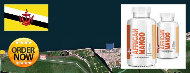 Where to Buy African Mango Extract Pills online Kuala Belait, Brunei