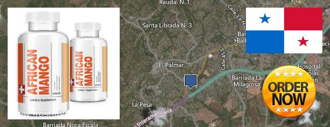 Dónde comprar African Mango Extract Pills en linea La Chorrera, Panama