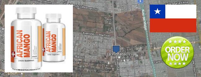 Dónde comprar African Mango Extract Pills en linea La Pintana, Chile