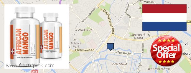 Where to Buy African Mango Extract Pills online Leiden, Netherlands