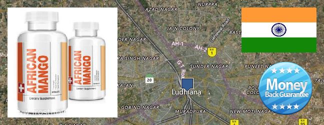 Where to Buy African Mango Extract Pills online Ludhiana, India