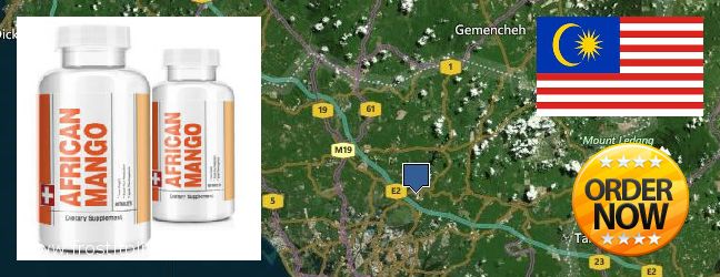 Buy African Mango Extract Pills online Malacca, Malaysia Where to Buy African Mango Extract Pills online Malacca, Malaysia