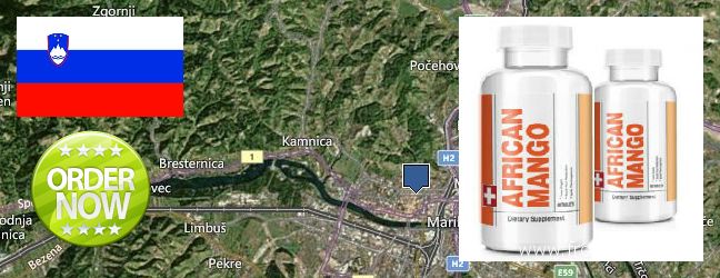 Where Can I Buy African Mango Extract Pills online Maribor, Slovenia