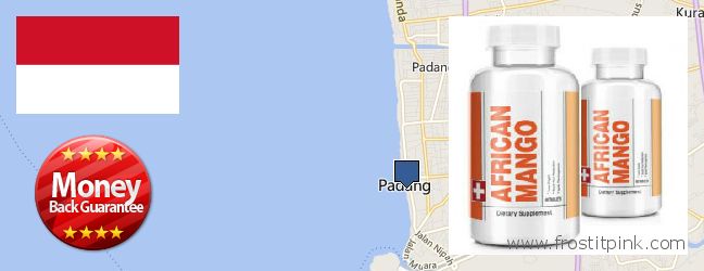 Purchase African Mango Extract Pills online Padang, Indonesia