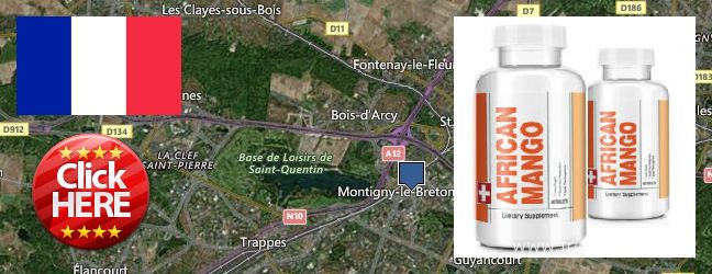 Où Acheter African Mango Extract Pills en ligne Saint-Quentin-en-Yvelines, France