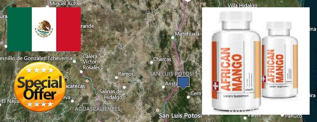 Where Can You Buy African Mango Extract Pills online San Luis Potosi, Mexico
