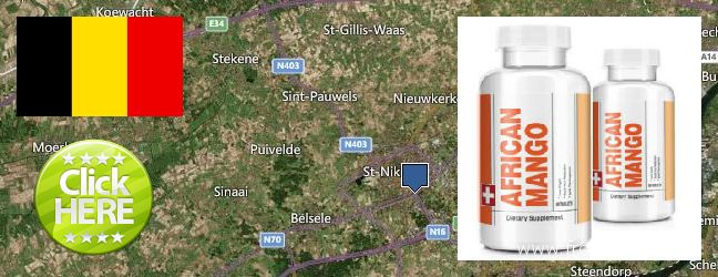 Waar te koop African Mango Extract Pills online Sint-Niklaas, Belgium