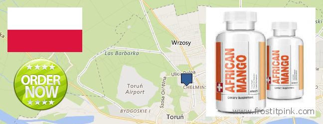 Where to Buy African Mango Extract Pills online Torun, Poland