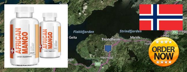 Buy African Mango Extract Pills online Trondheim, Norway