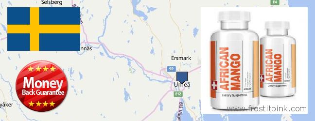 Var kan man köpa African Mango Extract Pills nätet Umea, Sweden