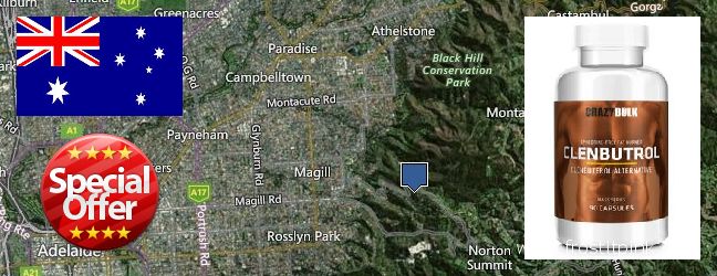 Πού να αγοράσετε Clenbuterol Steroids σε απευθείας σύνδεση Adelaide Hills, Australia