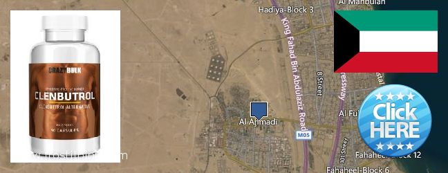 Buy Clenbuterol Steroids online Al Ahmadi, Kuwait Best Place to Buy Clenbuterol Steroids online Al Ahmadi, Kuwait