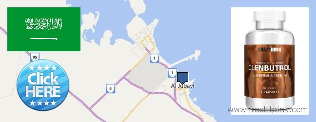 Where to Buy Clenbuterol Steroids online Al Jubayl, Saudi Arabia