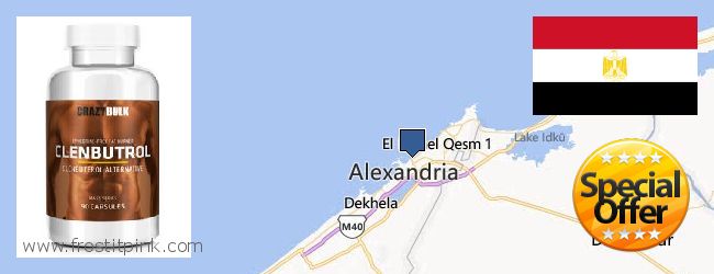 Where to Buy Clenbuterol Steroids online Alexandria, Egypt