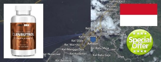 Where to Buy Clenbuterol Steroids online Ambon, Indonesia