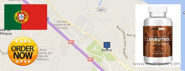 Purchase Clenbuterol Steroids online Amora, Portugal Best Place to Buy Clenbuterol Steroids online Amora, Portugal