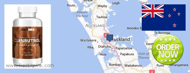 Where to Buy Clenbuterol Steroids online Auckland, New Zealand