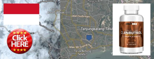 Buy Clenbuterol Steroids online Bandar Lampung, Indonesia