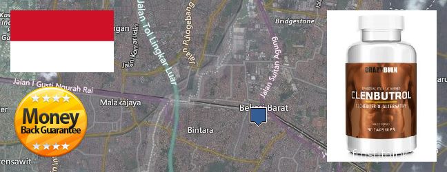 Where to Buy Clenbuterol Steroids online Bekasi, Indonesia