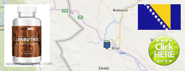 Where to Buy Clenbuterol Steroids online Bihac, Bosnia and Herzegovina