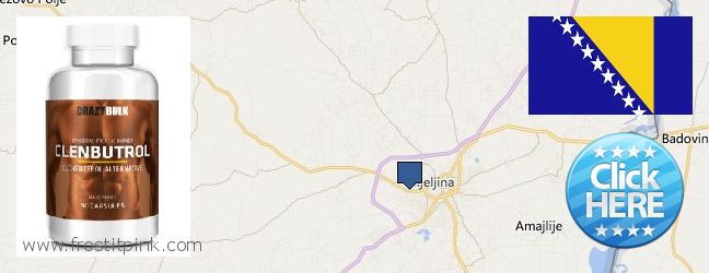 Purchase Clenbuterol Steroids online Bijeljina, Bosnia and Herzegovina