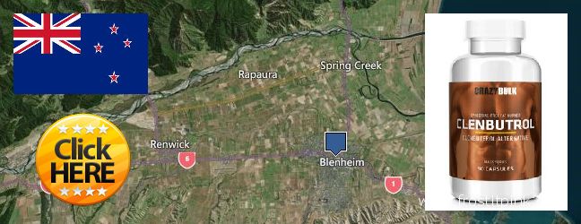 Where to Buy Clenbuterol Steroids online Blenheim, New Zealand