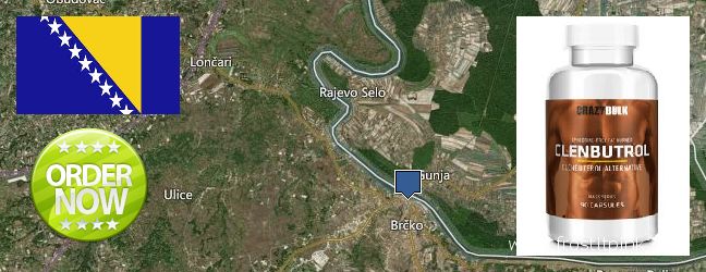 Sprzedam Clenbuterol Steroids w Internecie Brcko, Bosnia and Herzegovina Gdzie kupić Clenbuterol Steroids w Internecie Brcko, Bosnia and Herzegovina