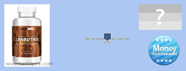 Kde koupit Clenbuterol Steroids on-line British Indian Ocean Territory