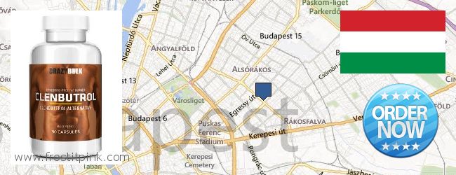 Kde kúpiť Clenbuterol Steroids on-line Budapest, Hungary