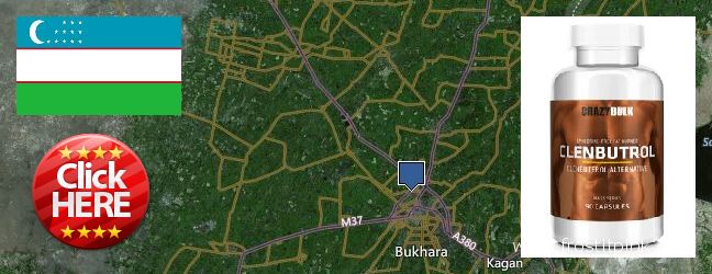 Where to Purchase Clenbuterol Steroids online Bukhara, Uzbekistan