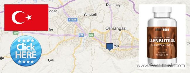 Nereden Alınır Clenbuterol Steroids çevrimiçi Bursa, Turkey
