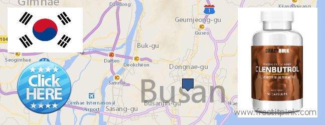 Where to Buy Clenbuterol Steroids online Busan, South Korea