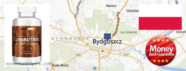 Where to Buy Clenbuterol Steroids online Bydgoszcz, Poland