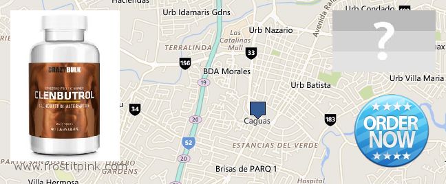 Purchase Clenbuterol Steroids online Caguas, Puerto Rico Best Place to Buy Clenbuterol Steroids online Caguas, Puerto Rico